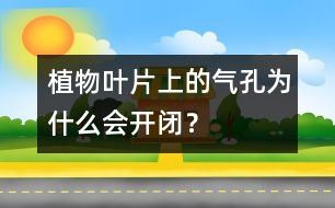 植物葉片上的氣孔為什么會(huì)開閉？