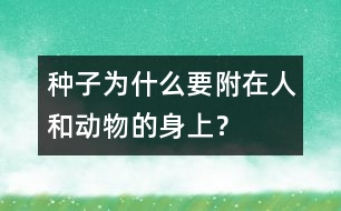 種子為什么要附在人和動(dòng)物的身上？