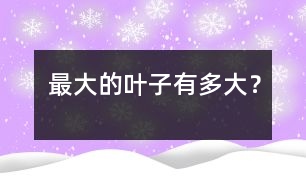 最大的葉子有多大？