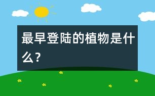 最早登陸的植物是什么？