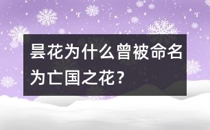 曇花為什么曾被命名為“亡國(guó)之花”？