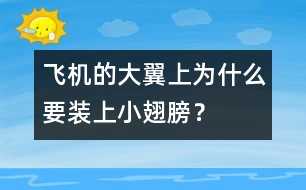 飛機(jī)的大翼上為什么要裝上小翅膀？