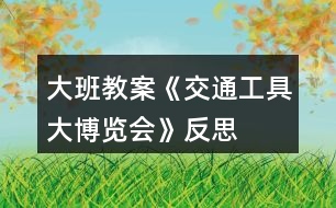 大班教案《交通工具大博覽會》反思