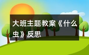 大班主題教案《什么蟲(chóng)》反思