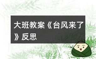 大班教案《臺(tái)風(fēng)來了》反思
