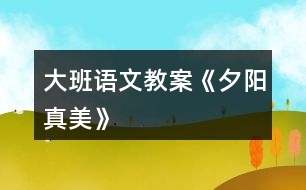大班語(yǔ)文教案《夕陽(yáng)真美》