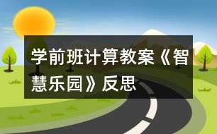 學(xué)前班計(jì)算教案《智慧樂(lè)園》反思