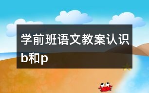 學前班語文教案認識b和p