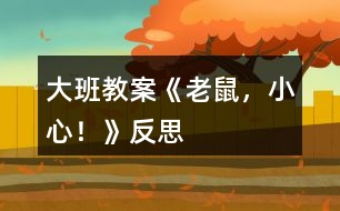 大班教案《老鼠，小心！》反思