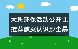 大班環(huán)?；顒?dòng)公開(kāi)課推薦教案：認(rèn)識(shí)沙塵暴