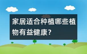 家居適合種植哪些植物有益健康？