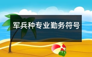 軍兵種專(zhuān)業(yè)勤務(wù)符號(hào)