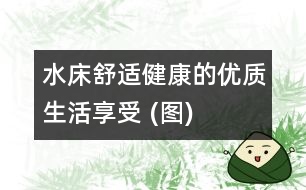 水床：舒適、健康的優(yōu)質(zhì)生活享受 (圖)