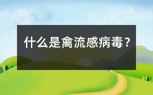什么是禽流感病毒？