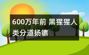 600萬(wàn)年前 黑猩猩人類(lèi)分道揚(yáng)鑣