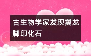 古生物學家發(fā)現翼龍腳印化石
