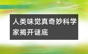 人類味覺(jué)真奇妙科學(xué)家揭開(kāi)謎底