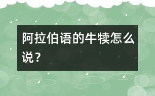 阿拉伯語的牛犢怎么說？