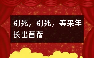 別死，別死，等來年長出苜蓿