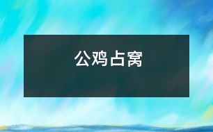 公雞占窩