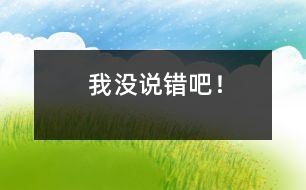 我沒說錯吧！