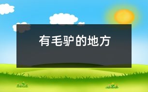 有毛驢的地方